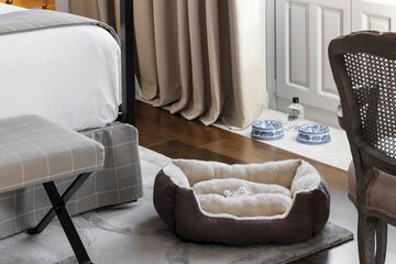 Pet-friendly amenities