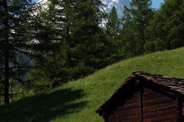 Hiking