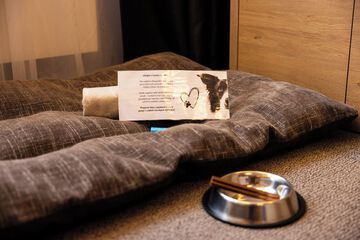 Pet-friendly amenities