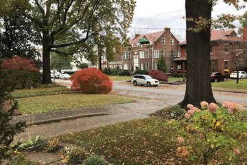 Land view from property