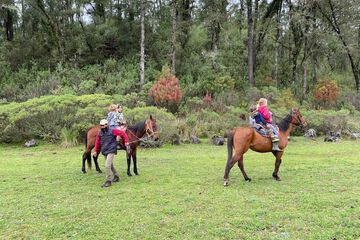 Horseback riding