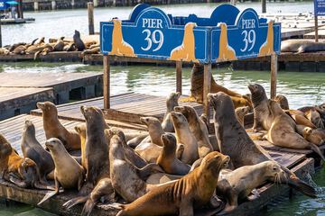 Children's activities