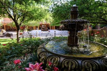 Outdoor wedding area