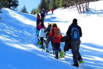 Snowshoeing