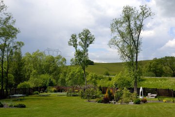 Mini-golf