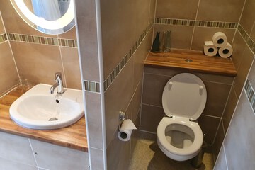 Bathroom sink