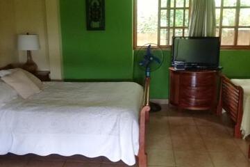 Photo 35