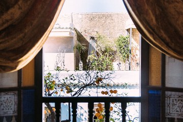 Garden view