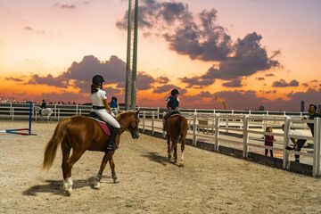 Horseback riding