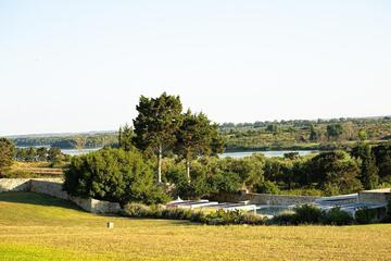 Lake view