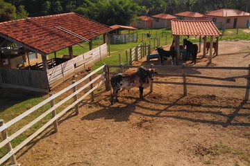 Children's activities