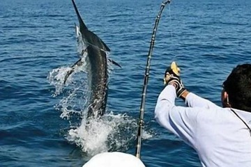 Fishing