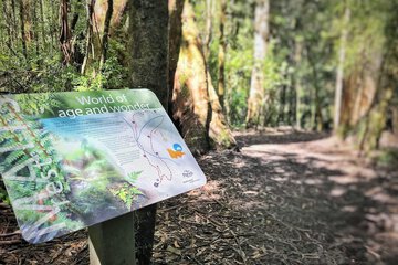 Hiking