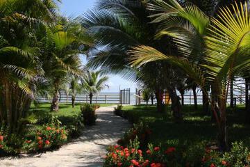 Photo 21
