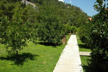 Photo 24