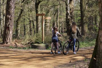 Bicycling