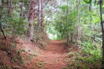 Hiking