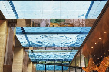 Rooftop pool