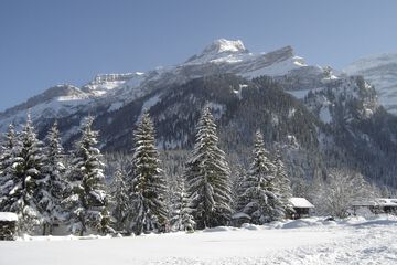 Mountain view