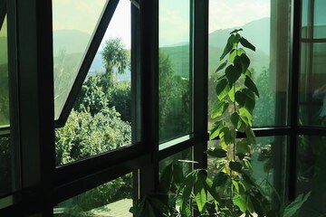 Garden view