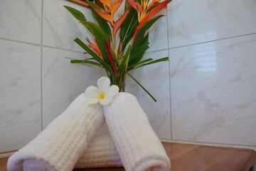 Bathroom amenities