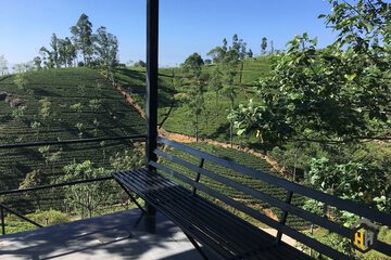 Sundeck