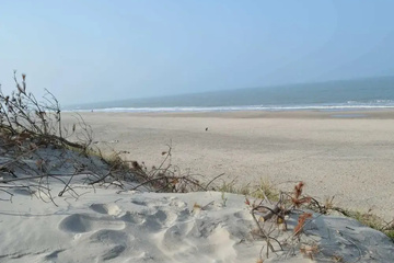 beach