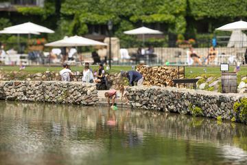BBQ/picnic area