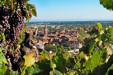 City view