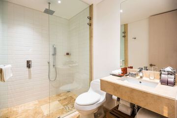 Bathroom shower