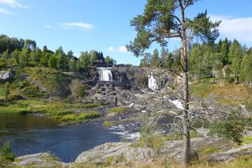Photo 24
