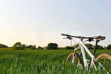 Bicycling