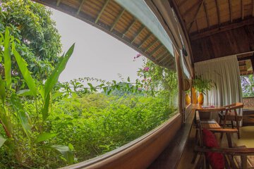 Garden view