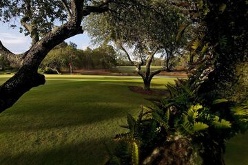 Outdoor wedding area