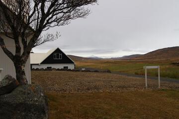 Photo 37