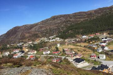 Photo 21
