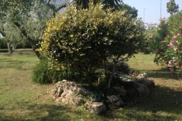 Photo 27