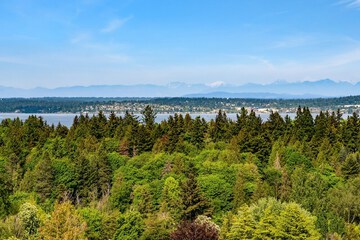 Lake view