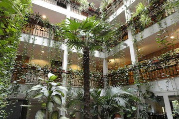 Courtyard