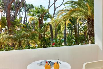 View from room