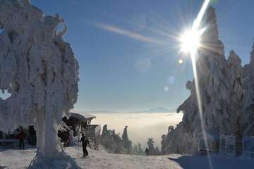 Snow and ski sports