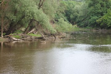 Fishing