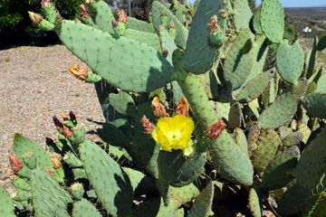 Property Grounds 134 of 135