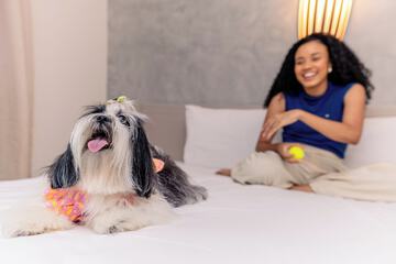 Pet-friendly amenities