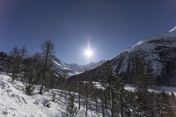 Snowshoeing