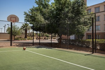 Basketball court