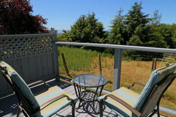 Terrace or Patio