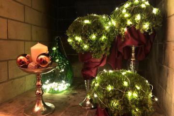 Photo 27