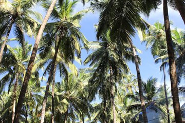 Land view from property