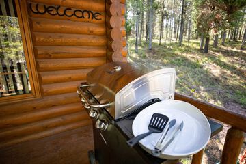 BBQ/picnic area